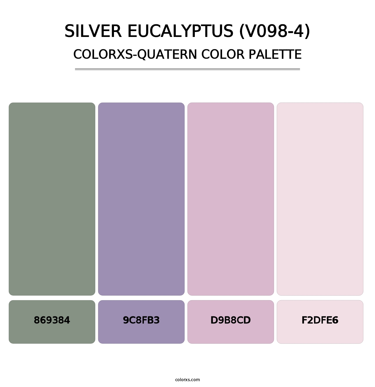 Silver Eucalyptus (V098-4) - Colorxs Quatern Palette