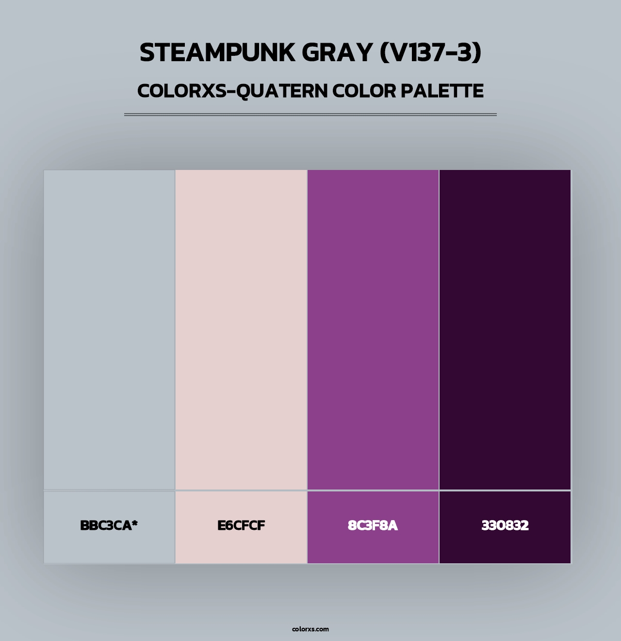Steampunk Gray (V137-3) - Colorxs Quad Palette