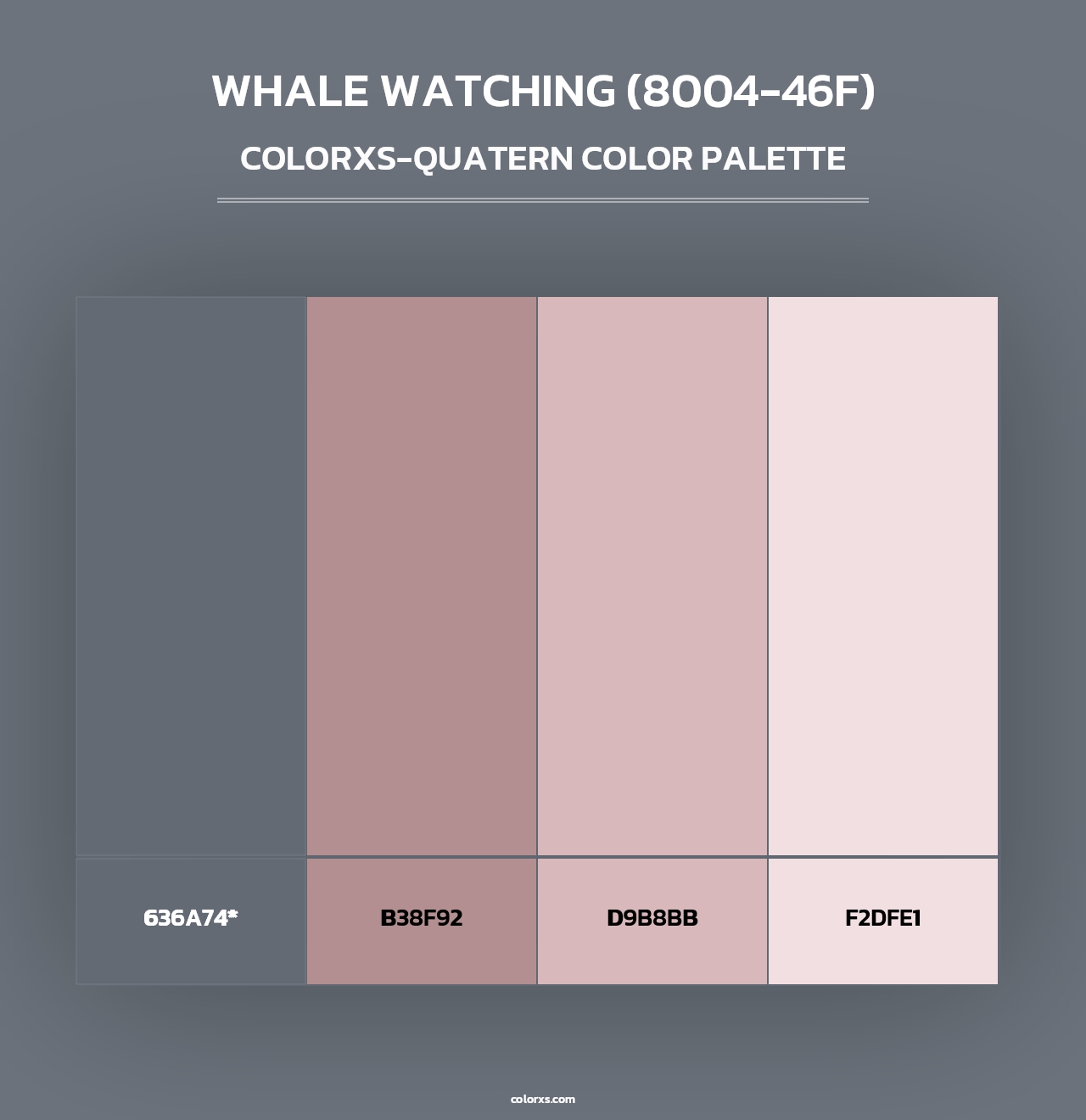 Whale Watching (8004-46F) - Colorxs Quad Palette