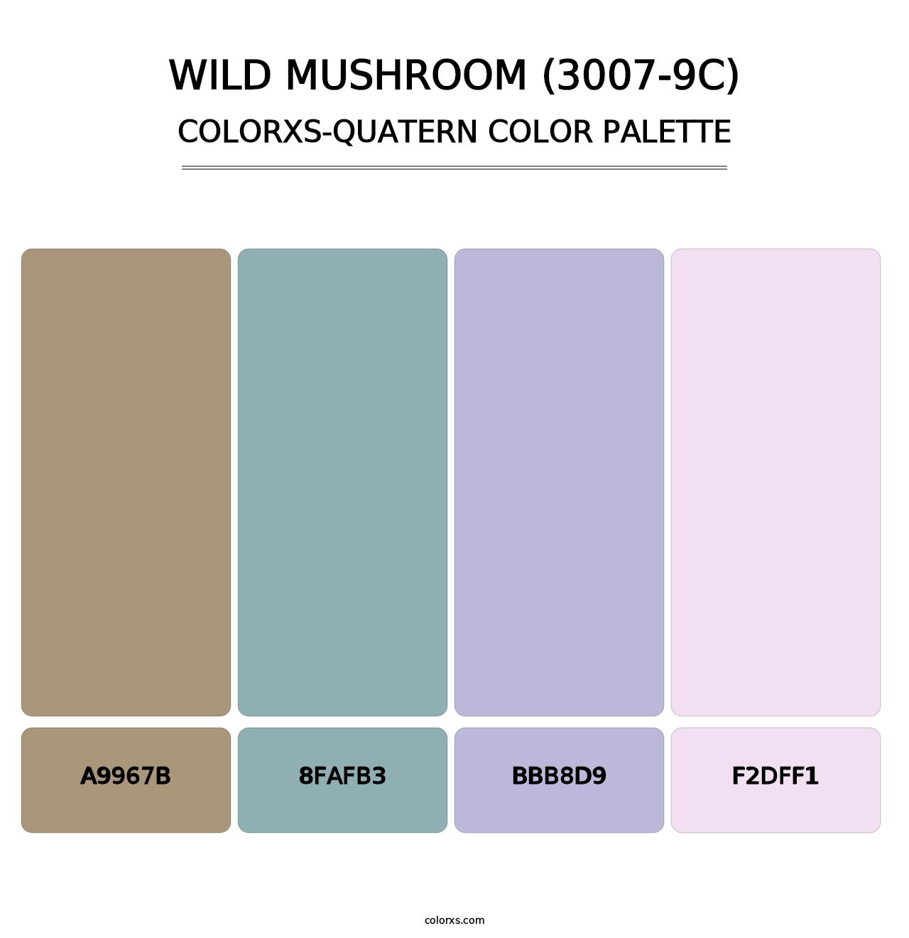 Wild Mushroom (3007-9C) - Colorxs Quatern Palette