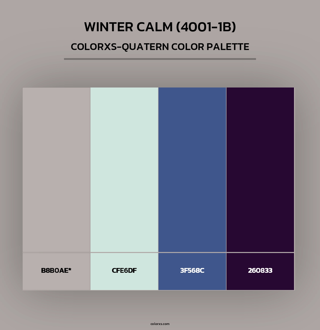 Winter Calm (4001-1B) - Colorxs Quad Palette