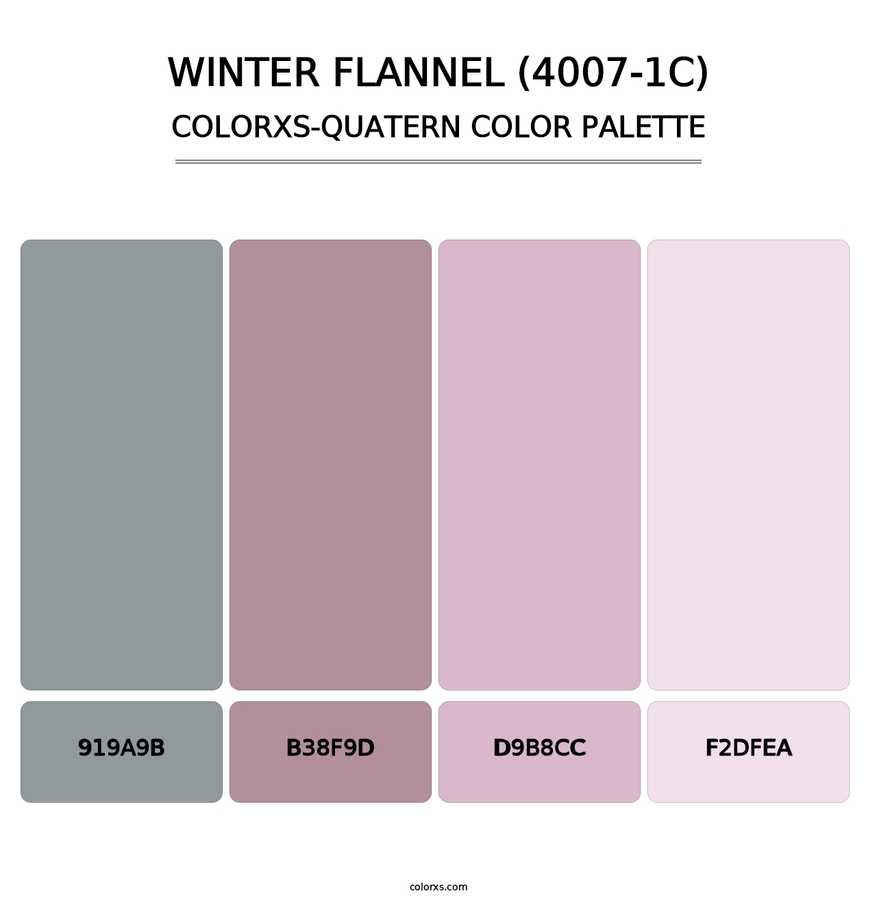 Winter Flannel (4007-1C) - Colorxs Quatern Palette