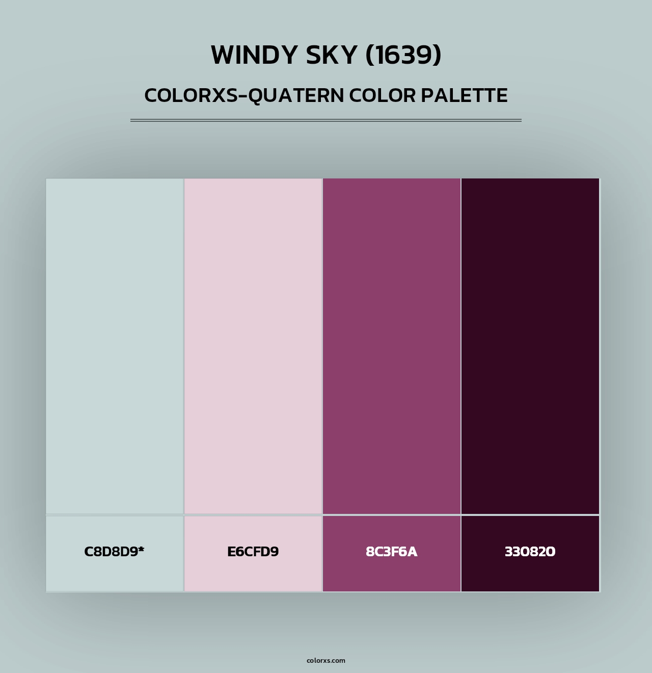 Windy Sky (1639) - Colorxs Quad Palette