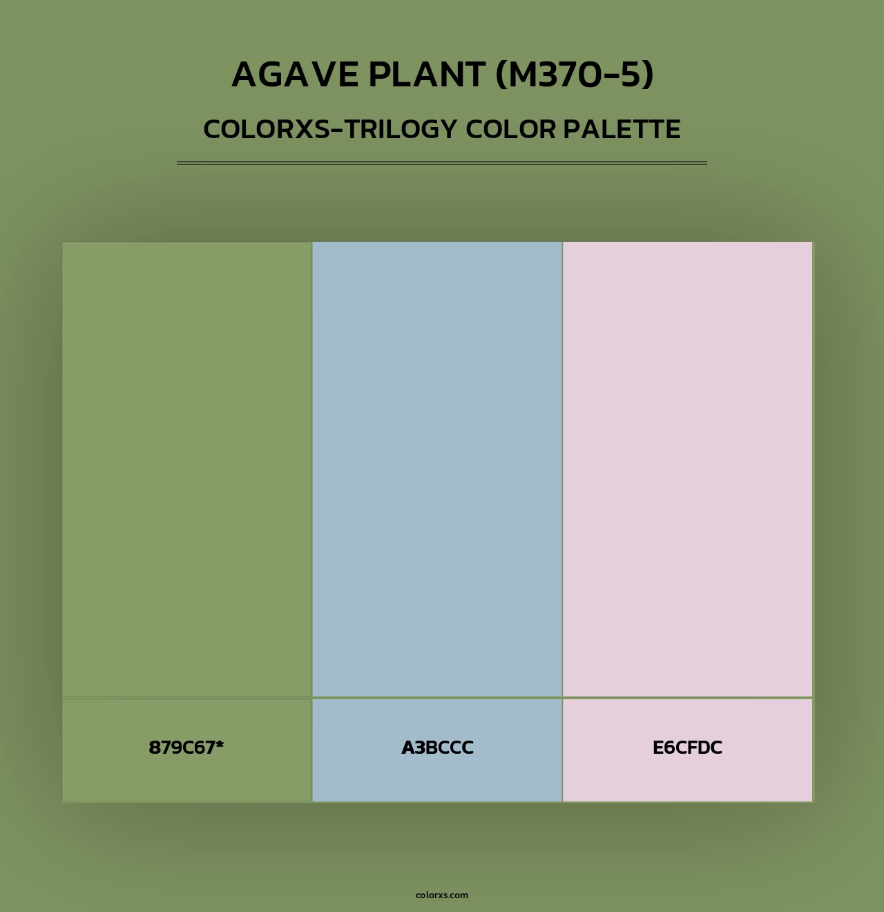 Agave Plant (M370-5) - Colorxs Trilogy Palette