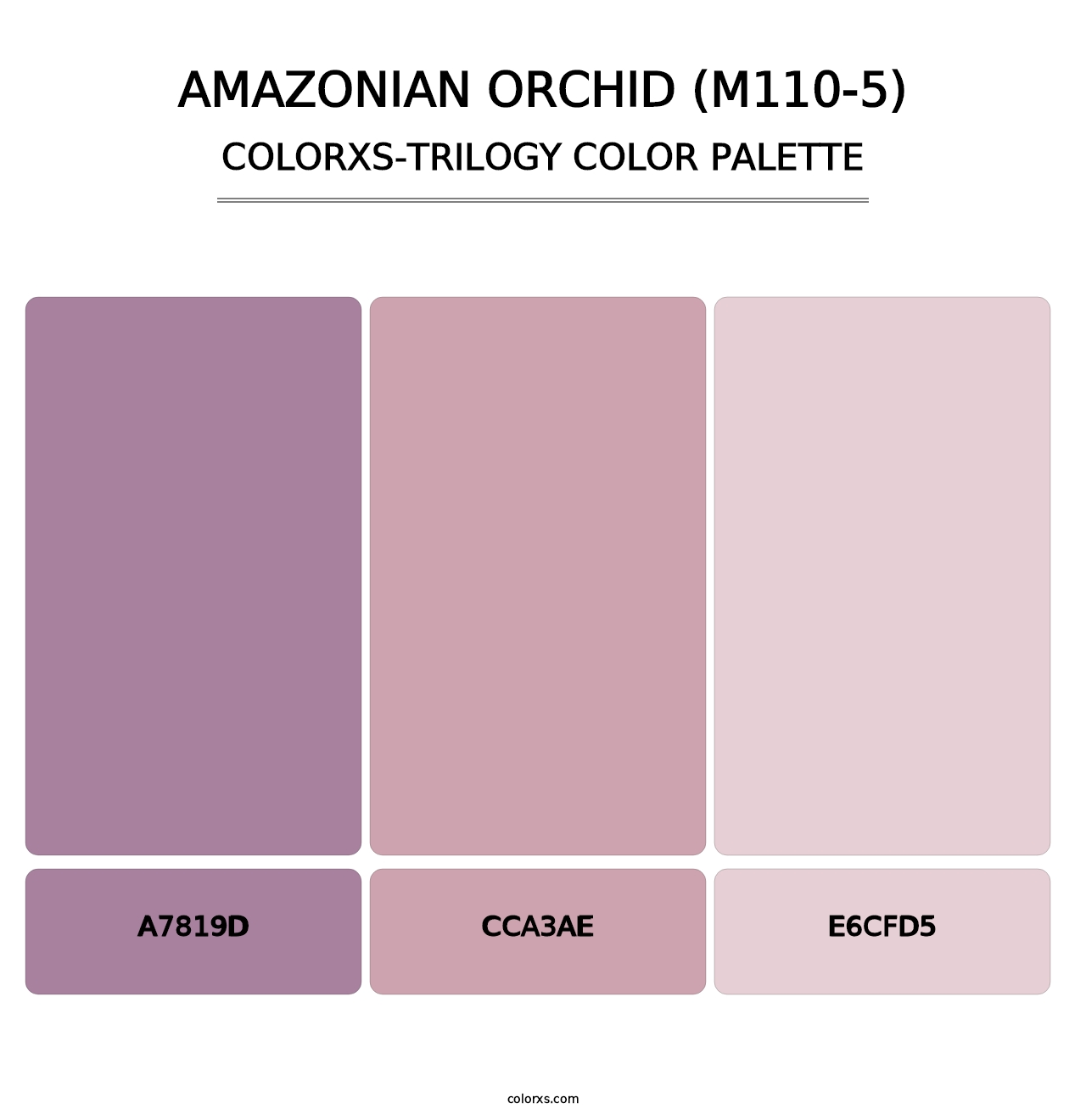 Amazonian Orchid (M110-5) - Colorxs Trilogy Palette