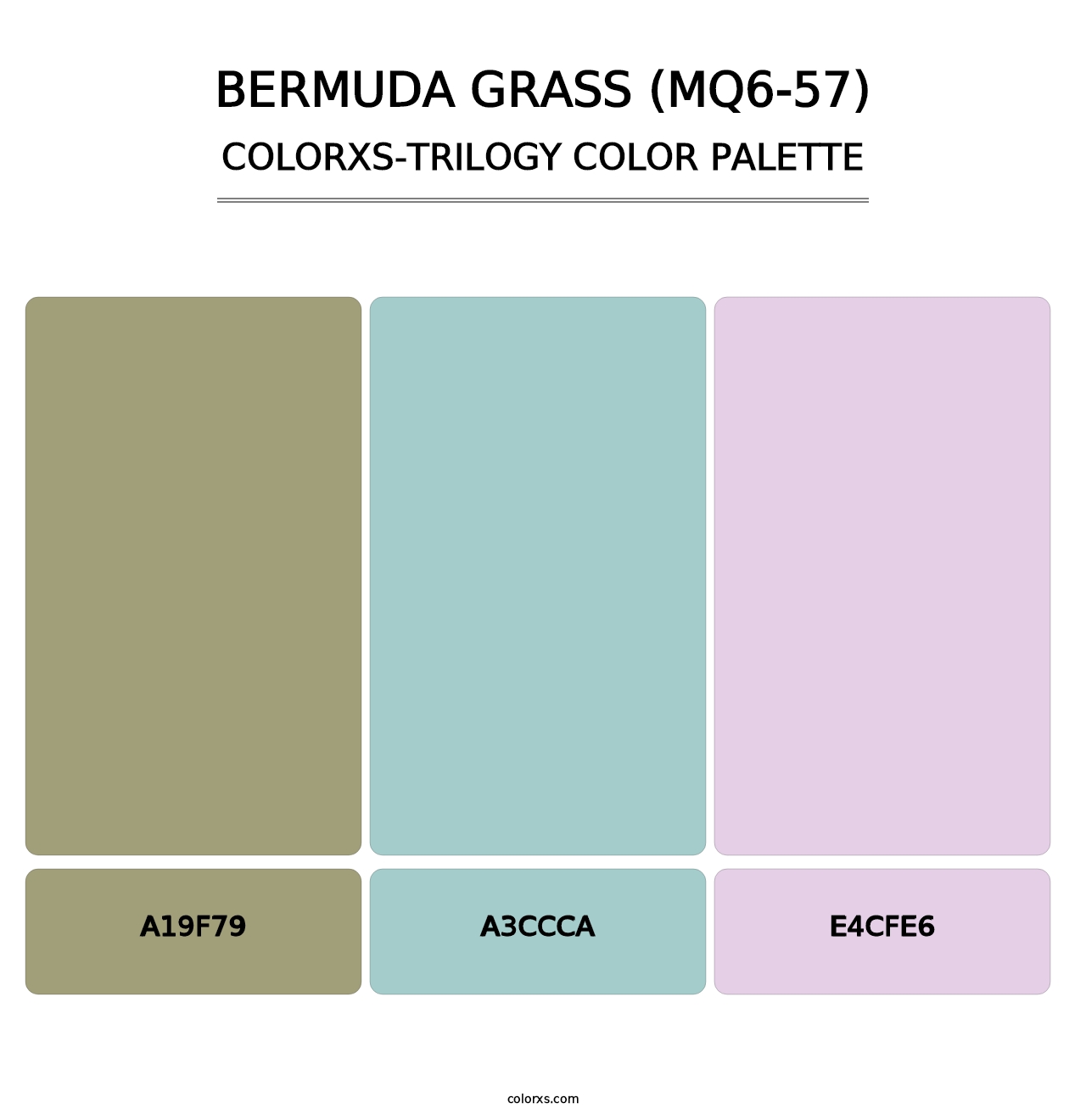 Bermuda Grass (MQ6-57) - Colorxs Trilogy Palette