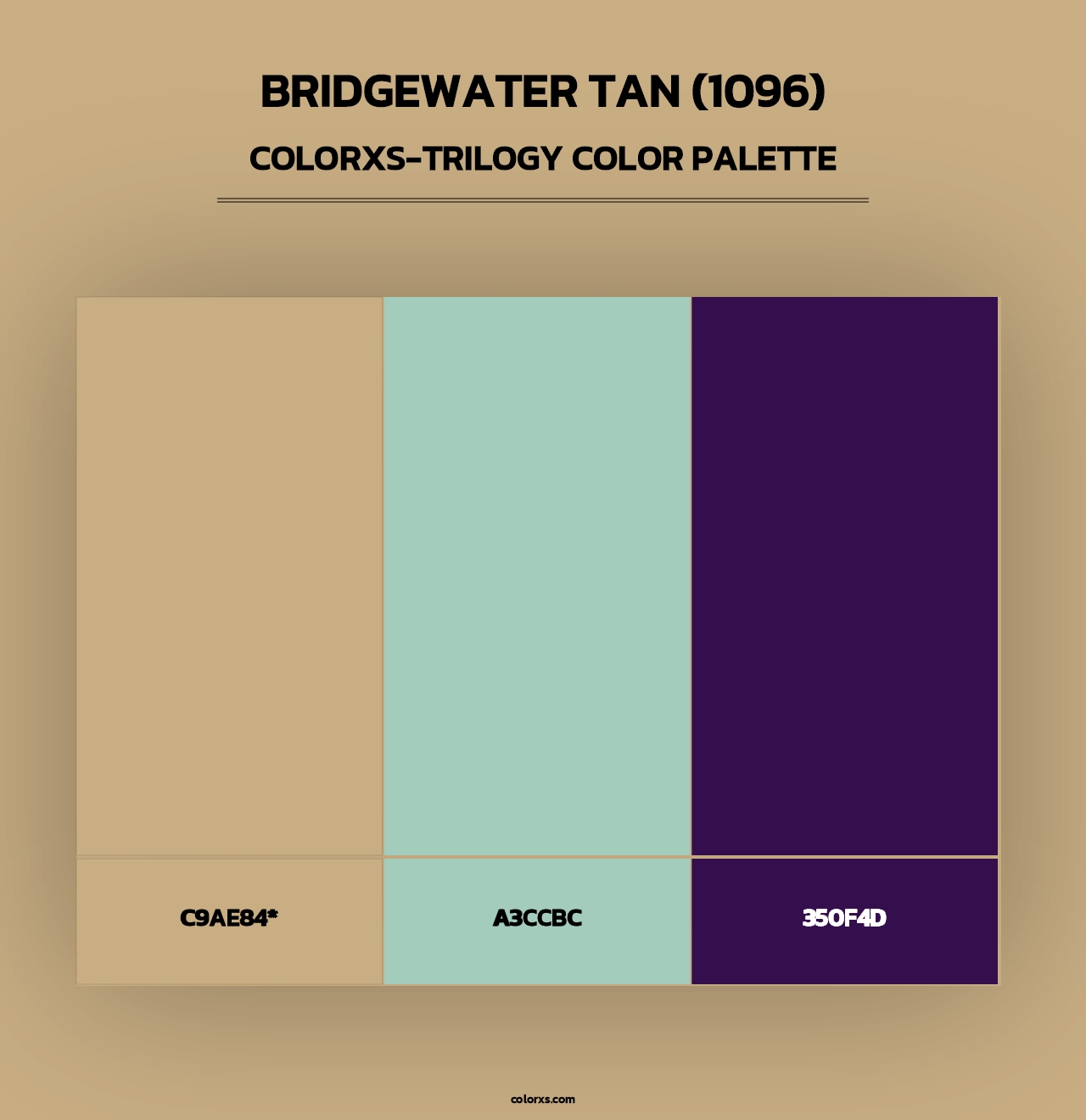 Bridgewater Tan (1096) - Colorxs Trilogy Palette