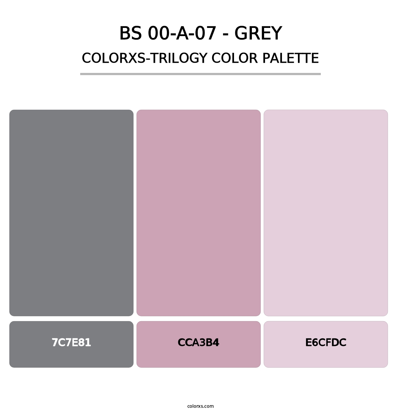 BS 00-A-07 - Grey - Colorxs Trilogy Palette