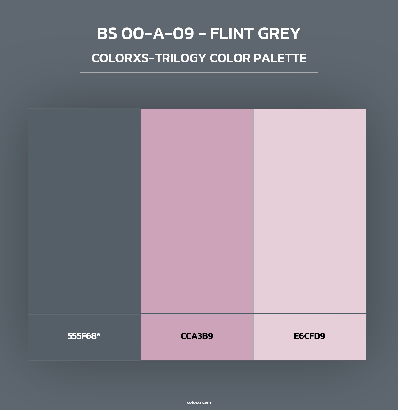 BS 00-A-09 - Flint Grey - Colorxs Trilogy Palette