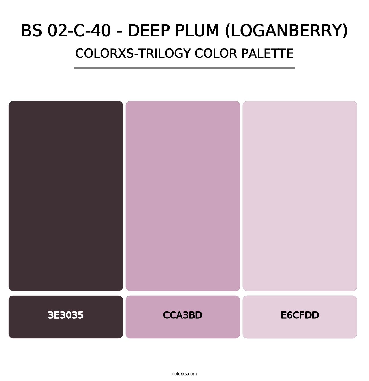 BS 02-C-40 - Deep Plum (Loganberry) - Colorxs Trilogy Palette