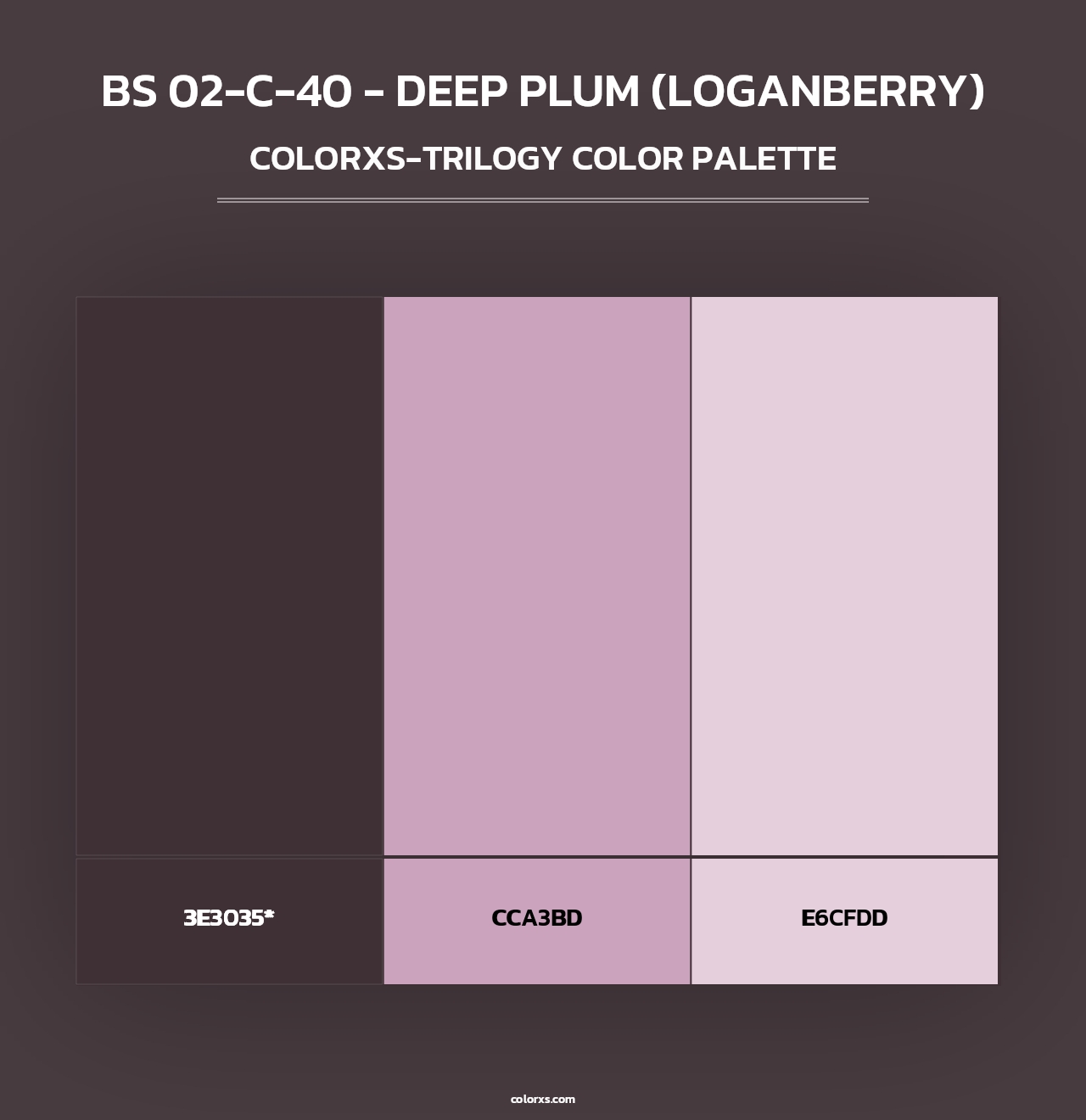 BS 02-C-40 - Deep Plum (Loganberry) - Colorxs Trilogy Palette