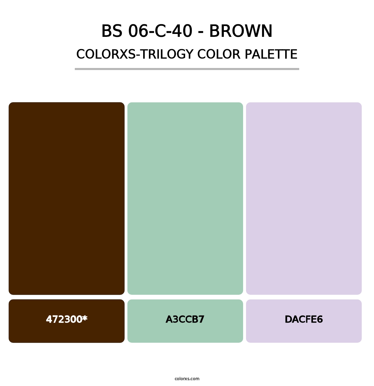 BS 06-C-40 - Brown - Colorxs Trilogy Palette
