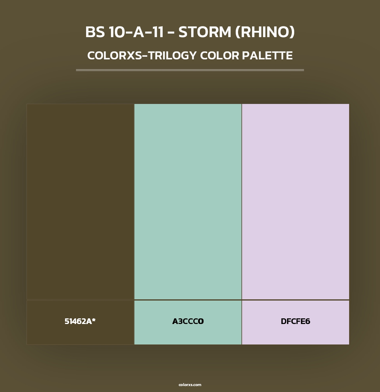 BS 10-A-11 - Storm (Rhino) - Colorxs Trilogy Palette