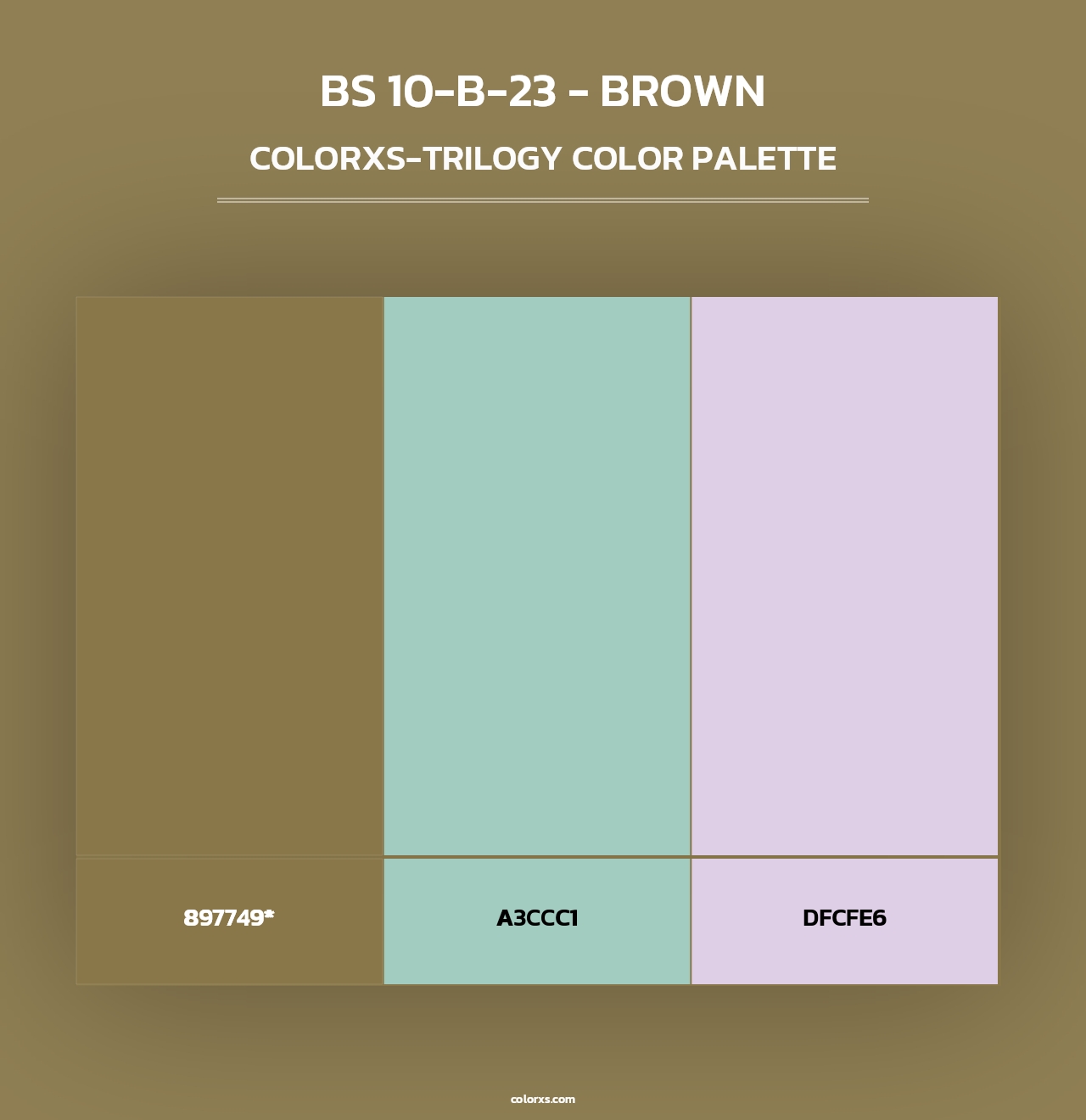 BS 10-B-23 - Brown - Colorxs Trilogy Palette