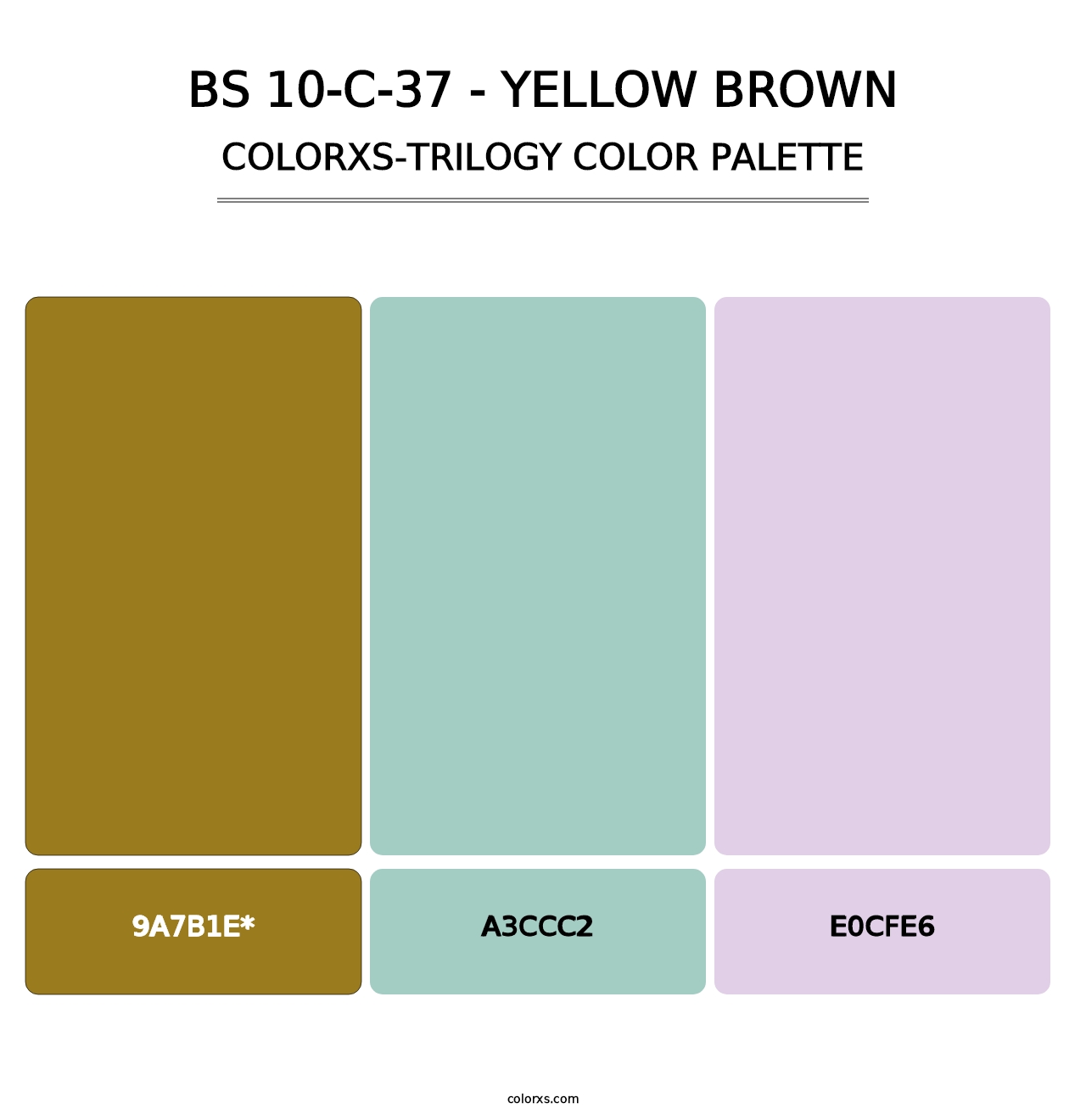 BS 10-C-37 - Yellow Brown - Colorxs Trilogy Palette