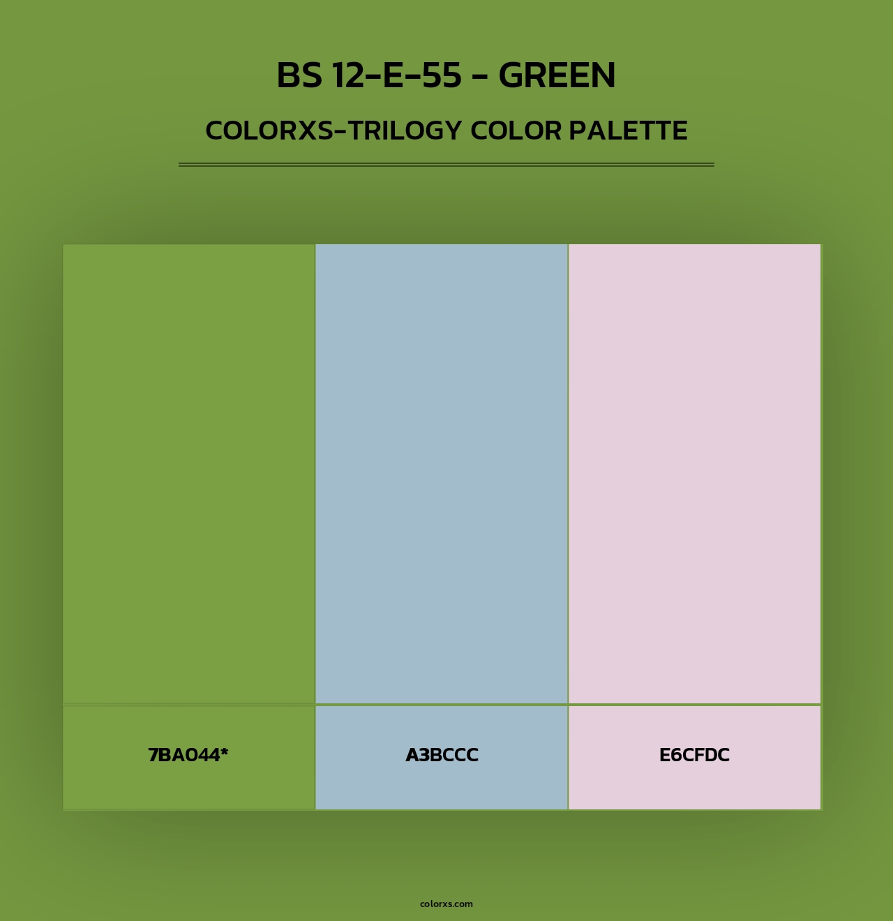 BS 12-E-55 - Green - Colorxs Trilogy Palette