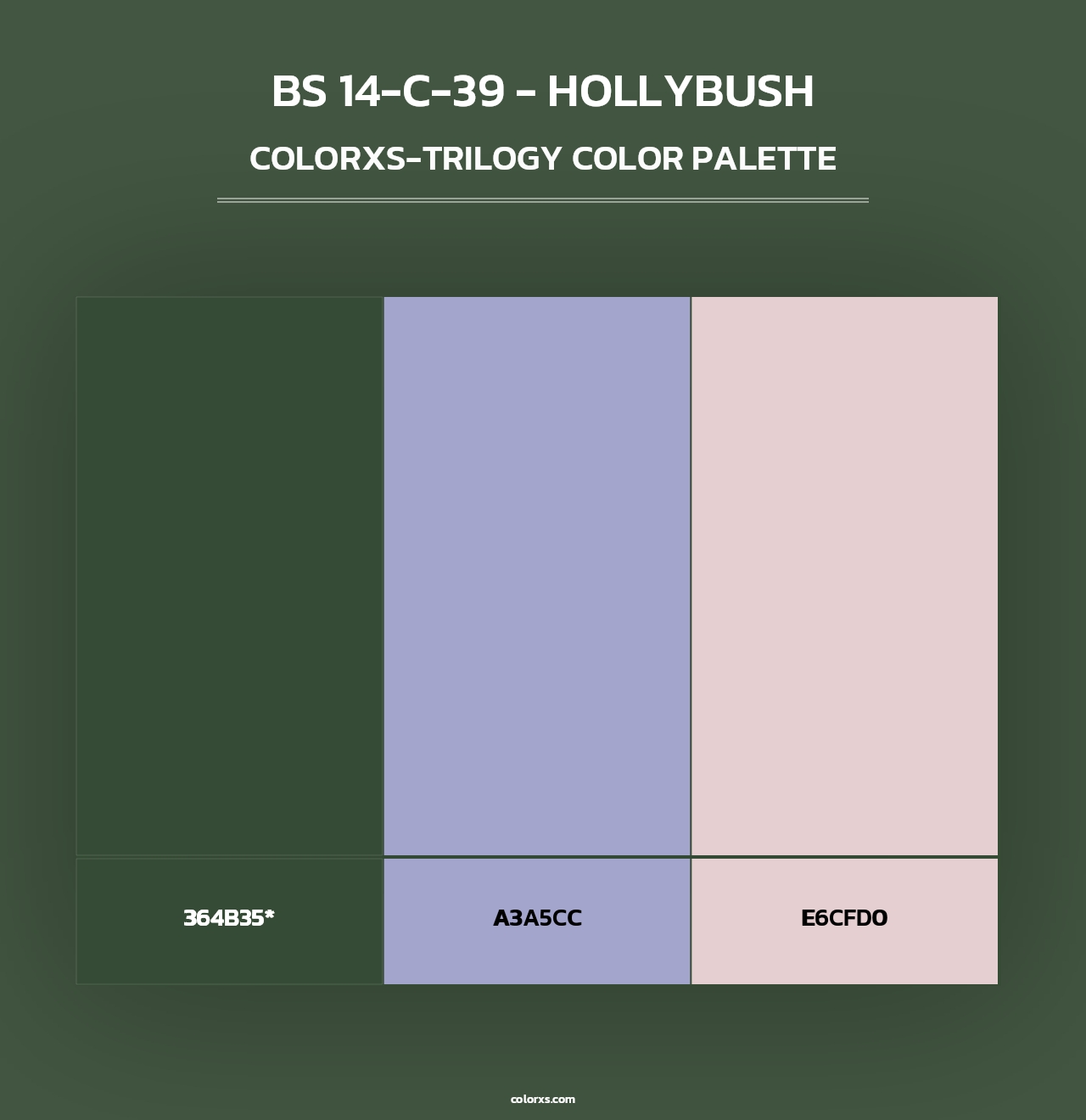 BS 14-C-39 - Hollybush - Colorxs Trilogy Palette