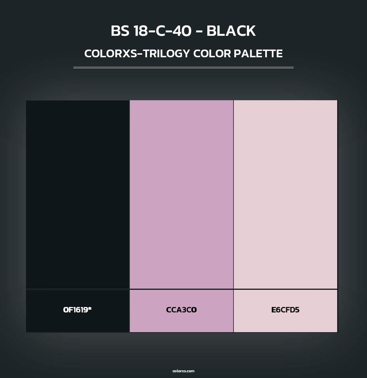 BS 18-C-40 - Black - Colorxs Trilogy Palette