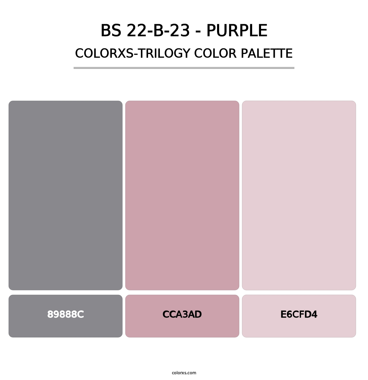 BS 22-B-23 - Purple - Colorxs Trilogy Palette