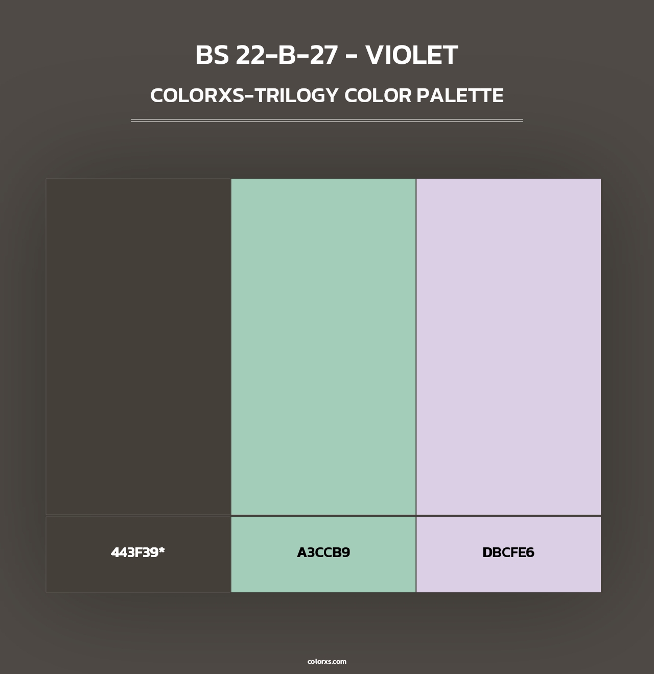 BS 22-B-27 - Violet - Colorxs Trilogy Palette