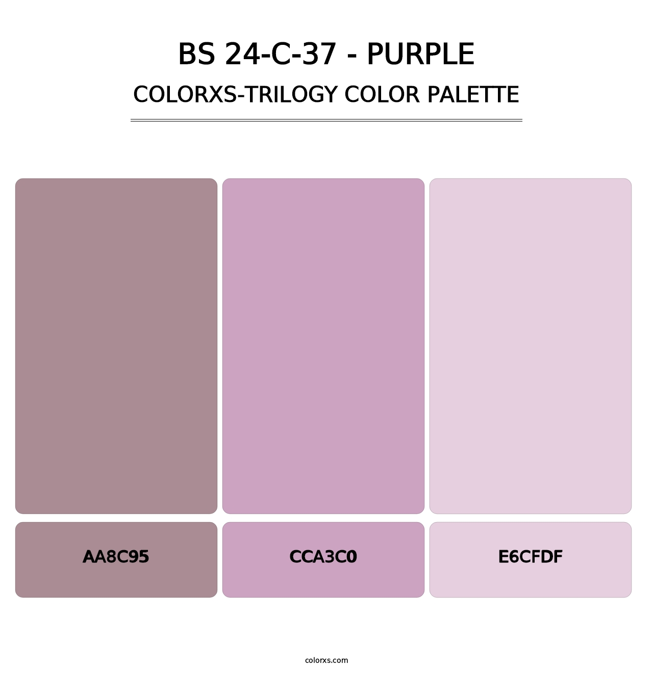 BS 24-C-37 - Purple - Colorxs Trilogy Palette