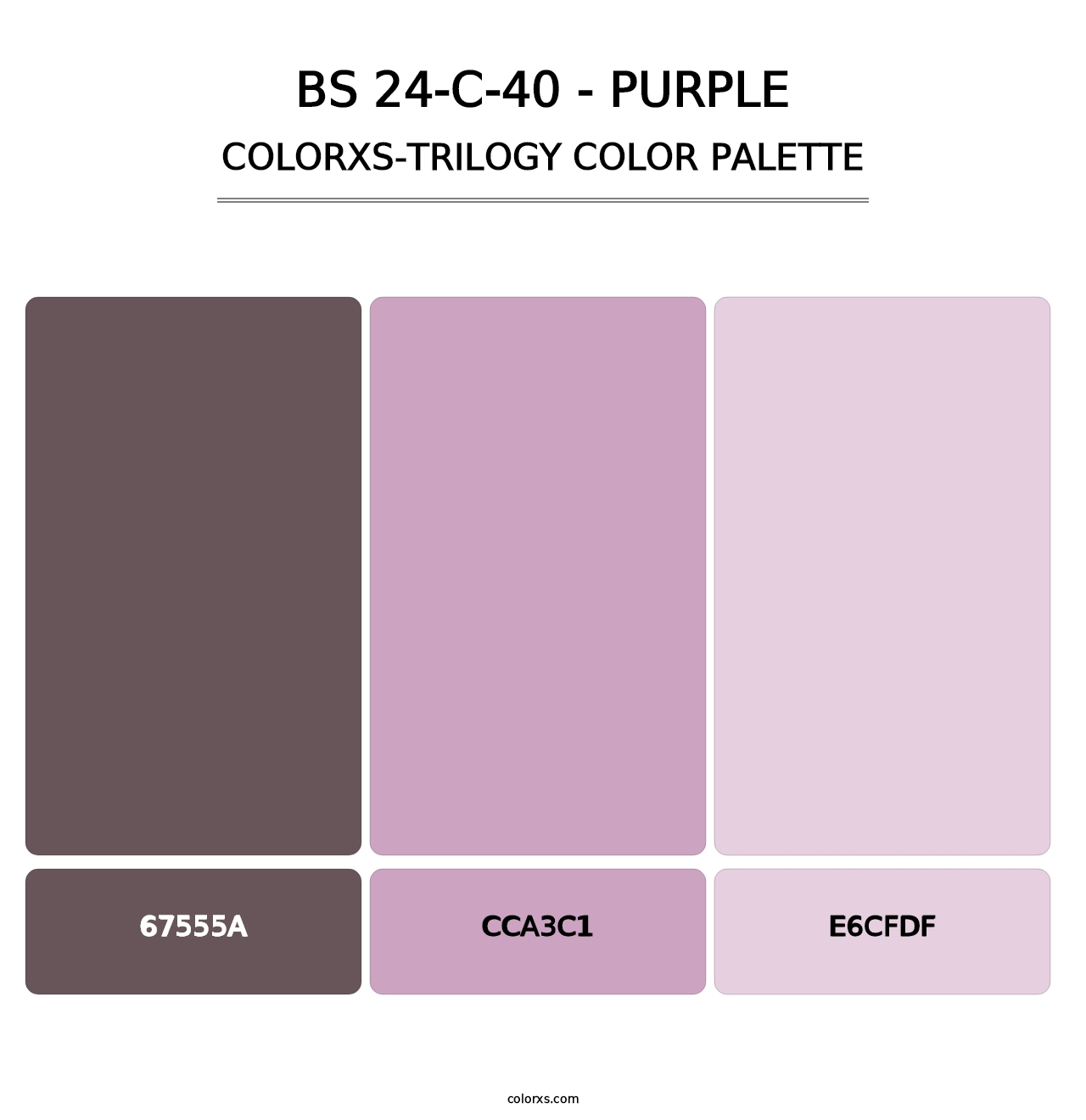 BS 24-C-40 - Purple - Colorxs Trilogy Palette