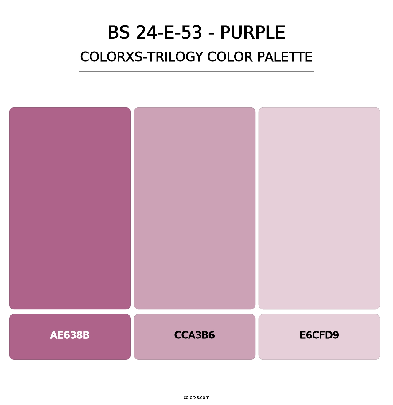 BS 24-E-53 - Purple - Colorxs Trilogy Palette