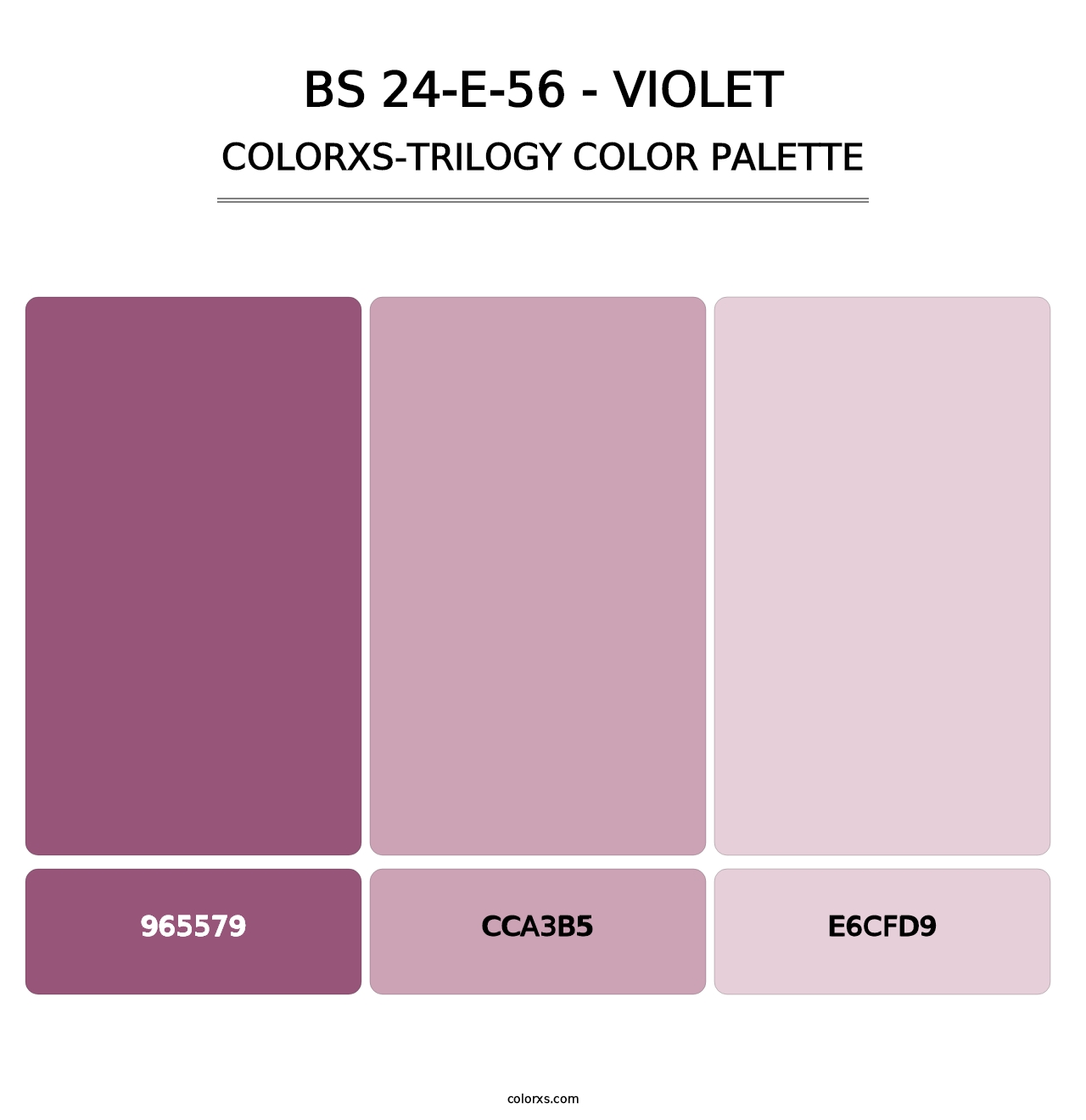 BS 24-E-56 - Violet - Colorxs Trilogy Palette