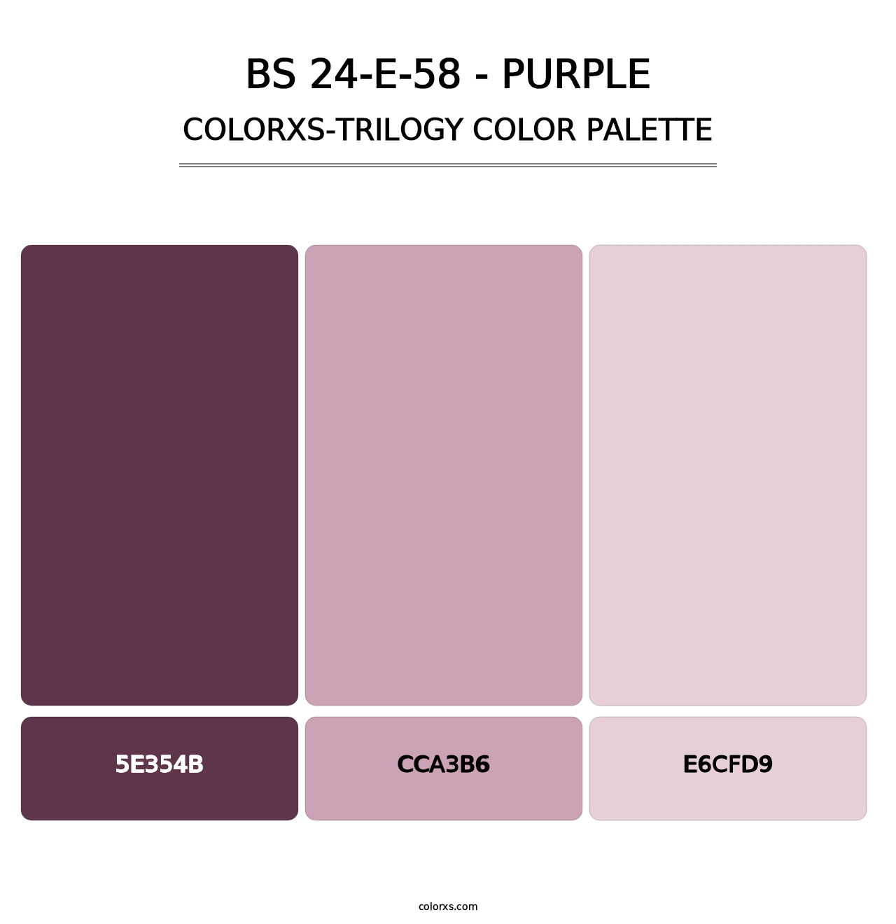 BS 24-E-58 - Purple - Colorxs Trilogy Palette