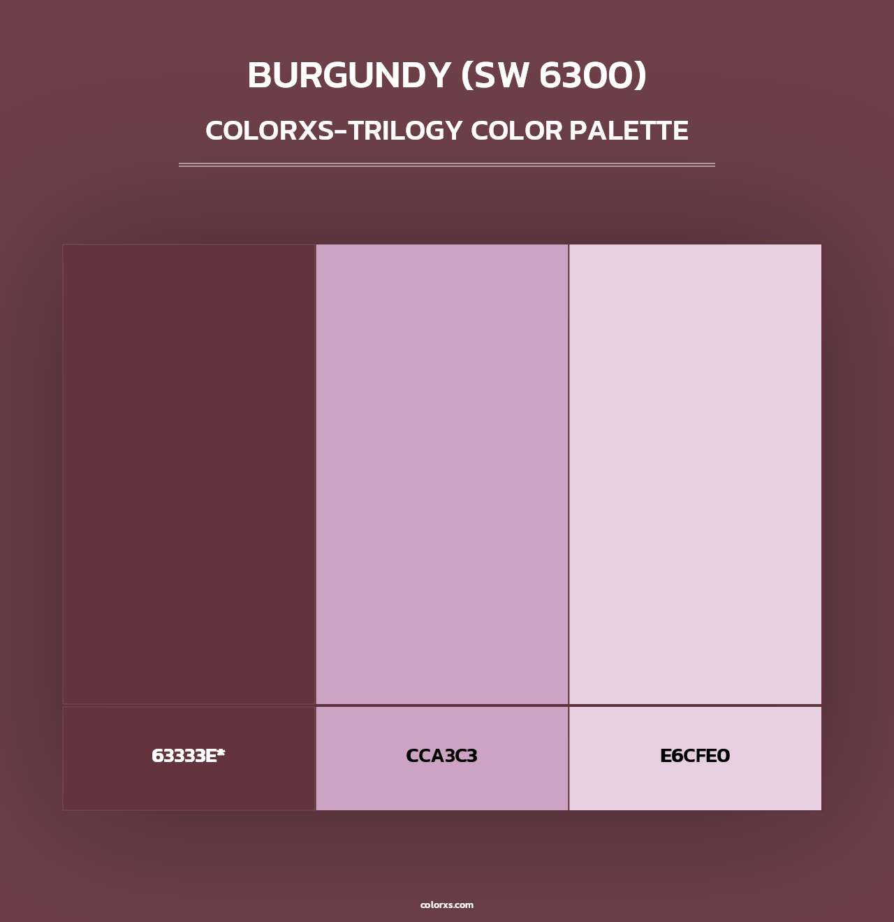 Burgundy (SW 6300) - Colorxs Trilogy Palette
