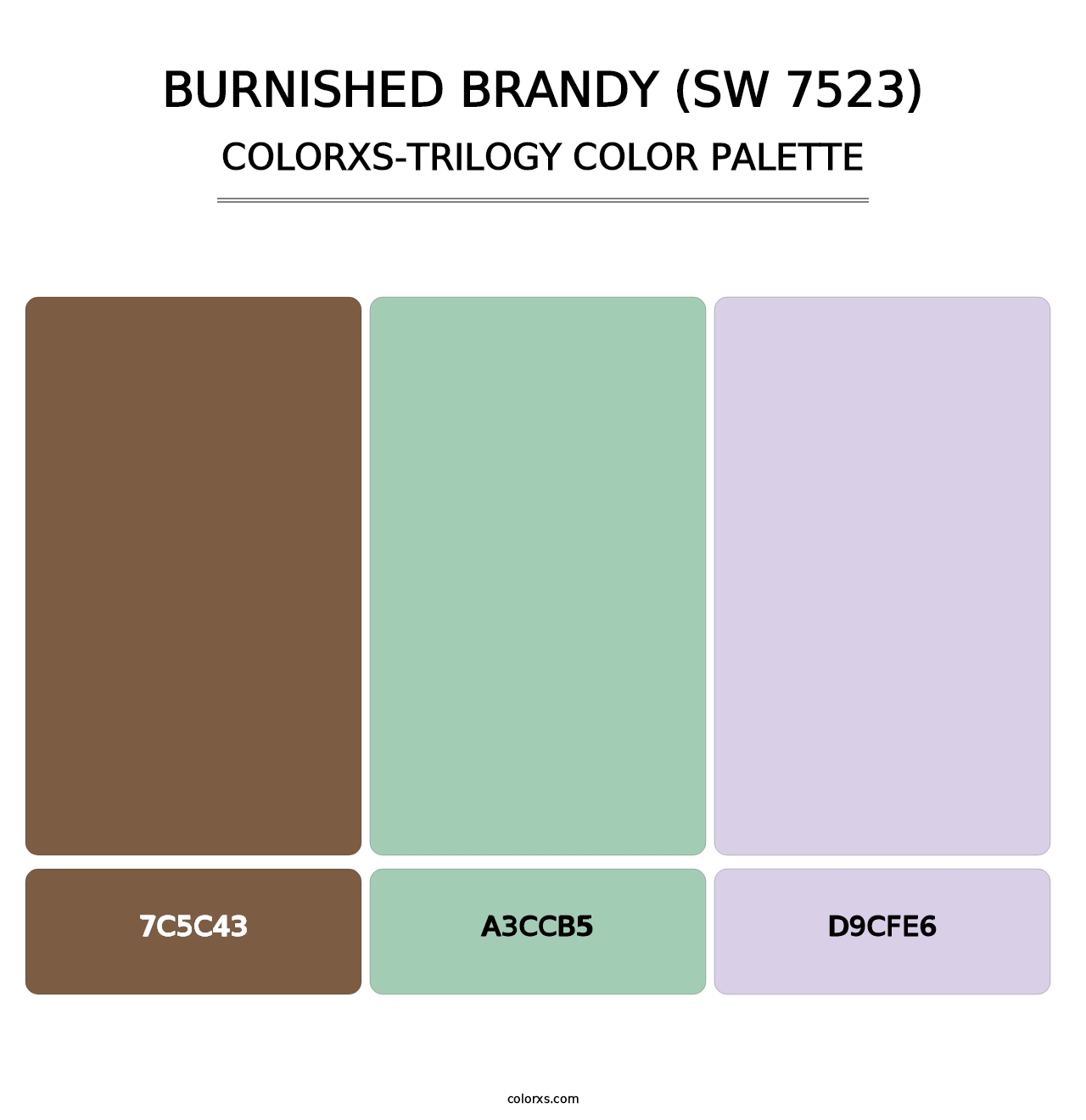 Burnished Brandy (SW 7523) - Colorxs Trilogy Palette