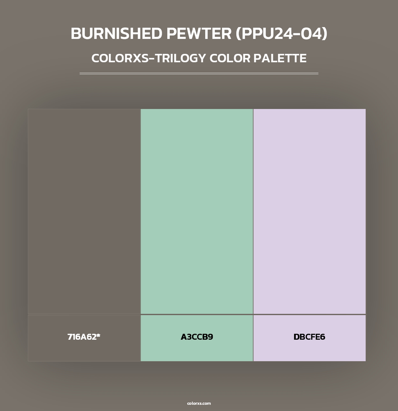 Burnished Pewter (PPU24-04) - Colorxs Trilogy Palette