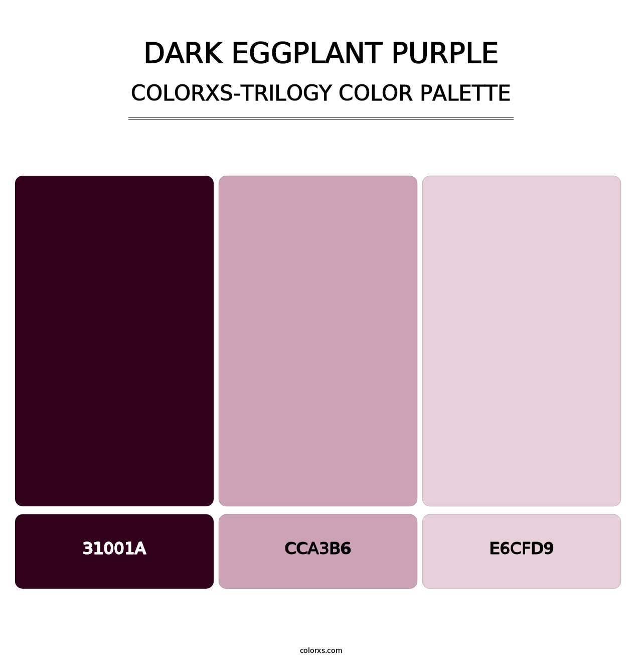 Dark Eggplant Purple - Colorxs Trilogy Palette