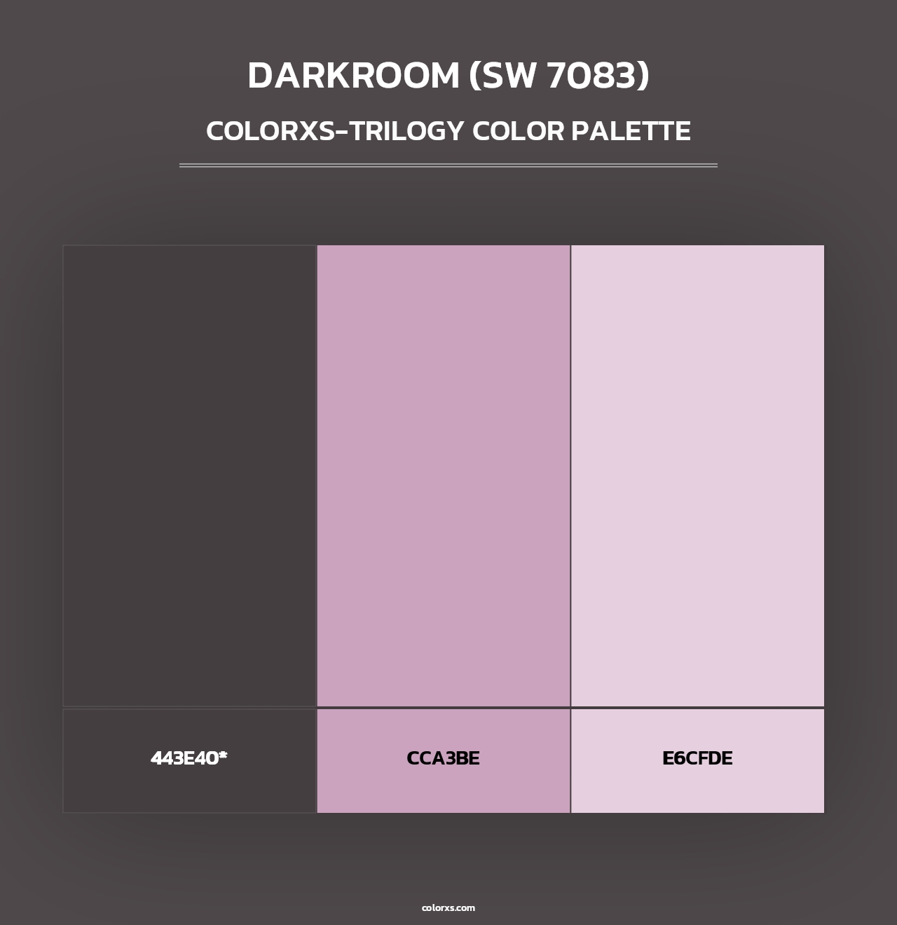 Darkroom (SW 7083) - Colorxs Trilogy Palette