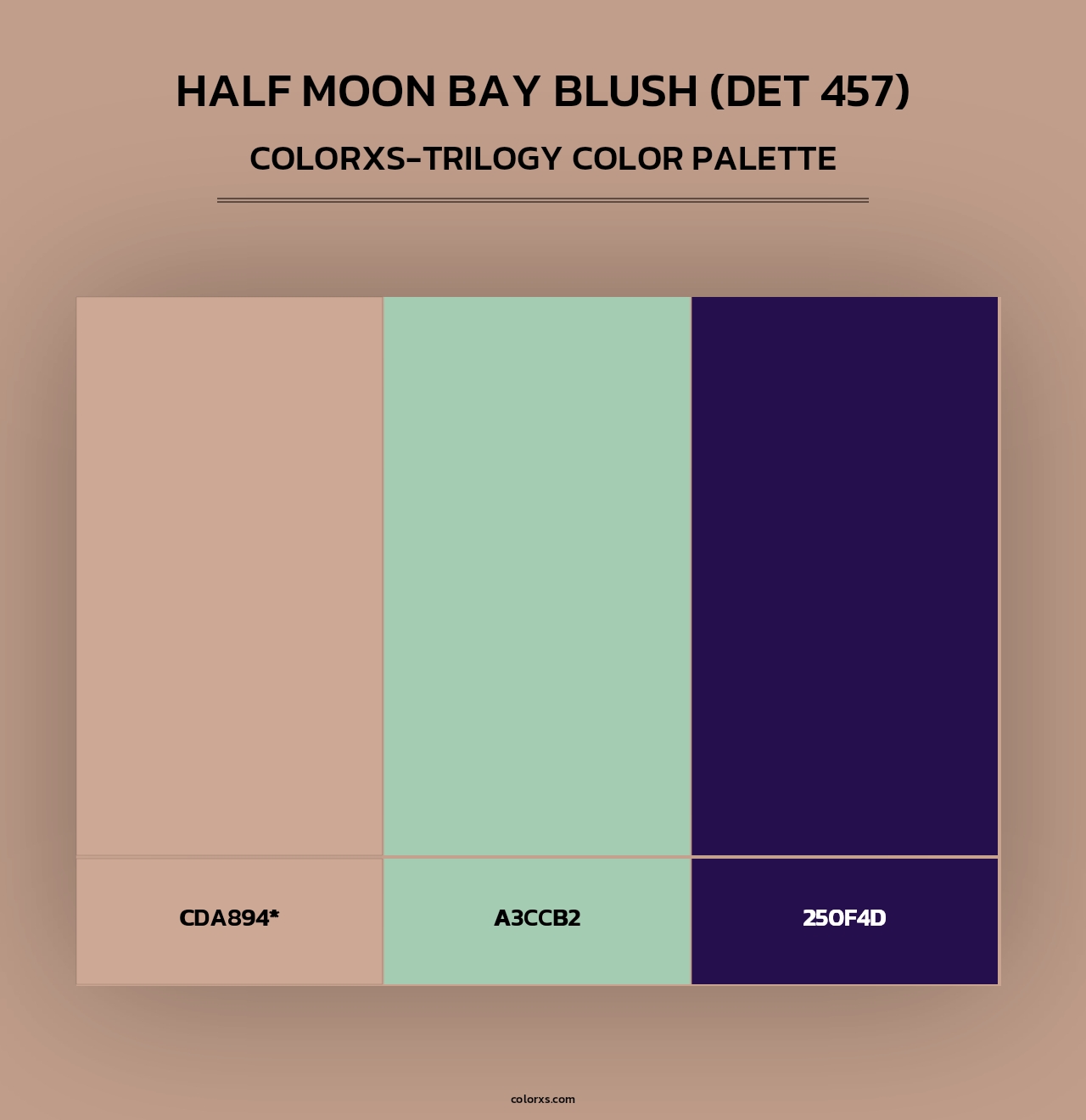 Half Moon Bay Blush (DET 457) - Colorxs Trilogy Palette
