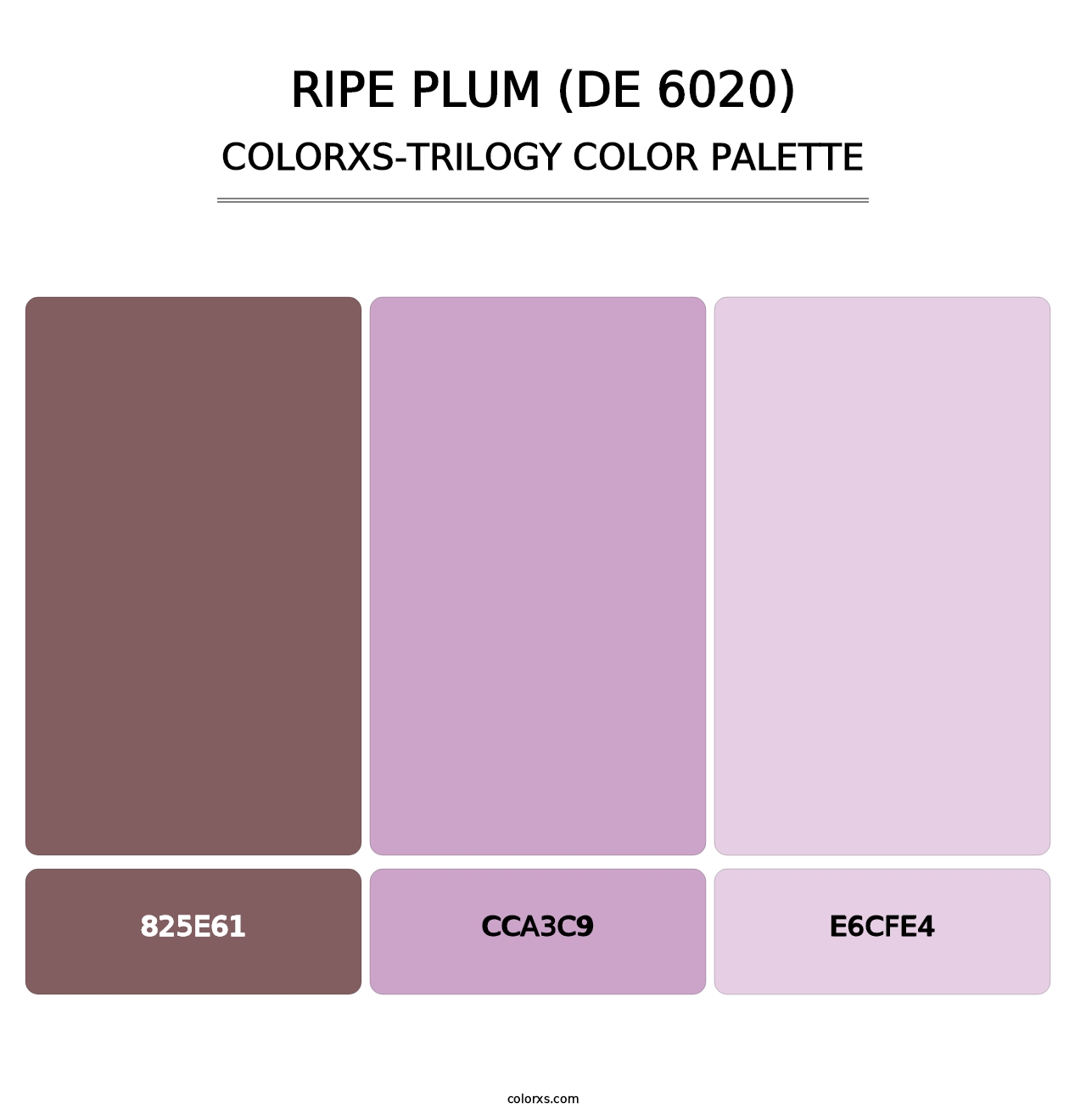 Ripe Plum (DE 6020) - Colorxs Trilogy Palette