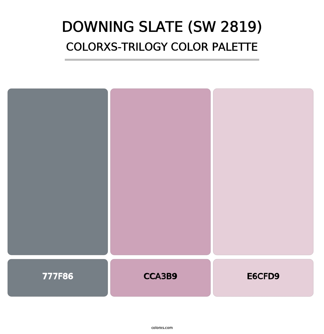 Downing Slate (SW 2819) - Colorxs Trilogy Palette
