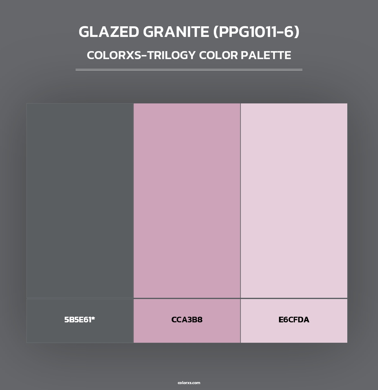 Glazed Granite (PPG1011-6) - Colorxs Trilogy Palette