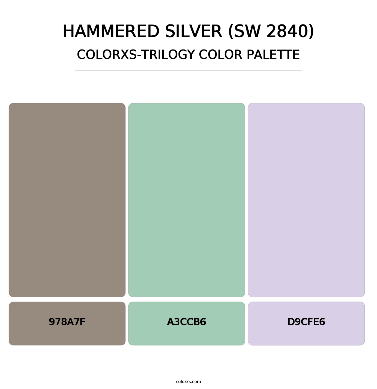 Hammered Silver (SW 2840) - Colorxs Trilogy Palette