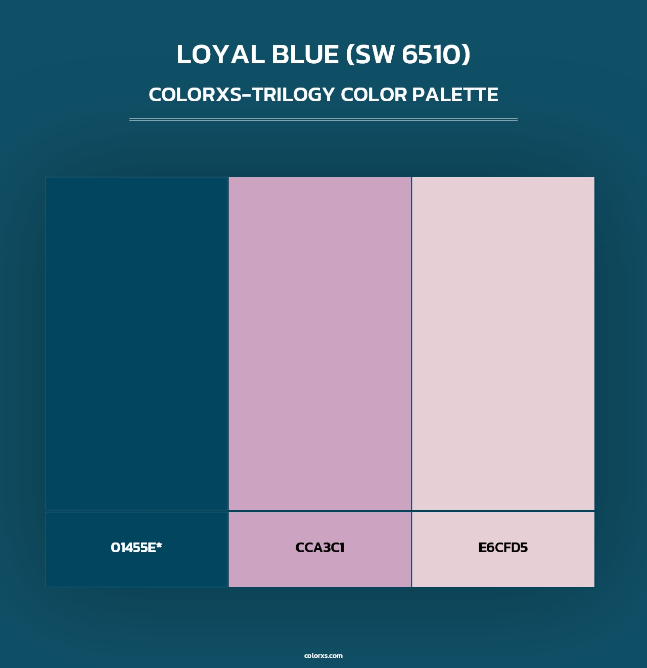 Loyal Blue (SW 6510) - Colorxs Trilogy Palette