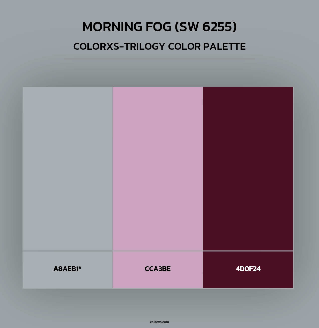 Morning Fog (SW 6255) - Colorxs Trilogy Palette