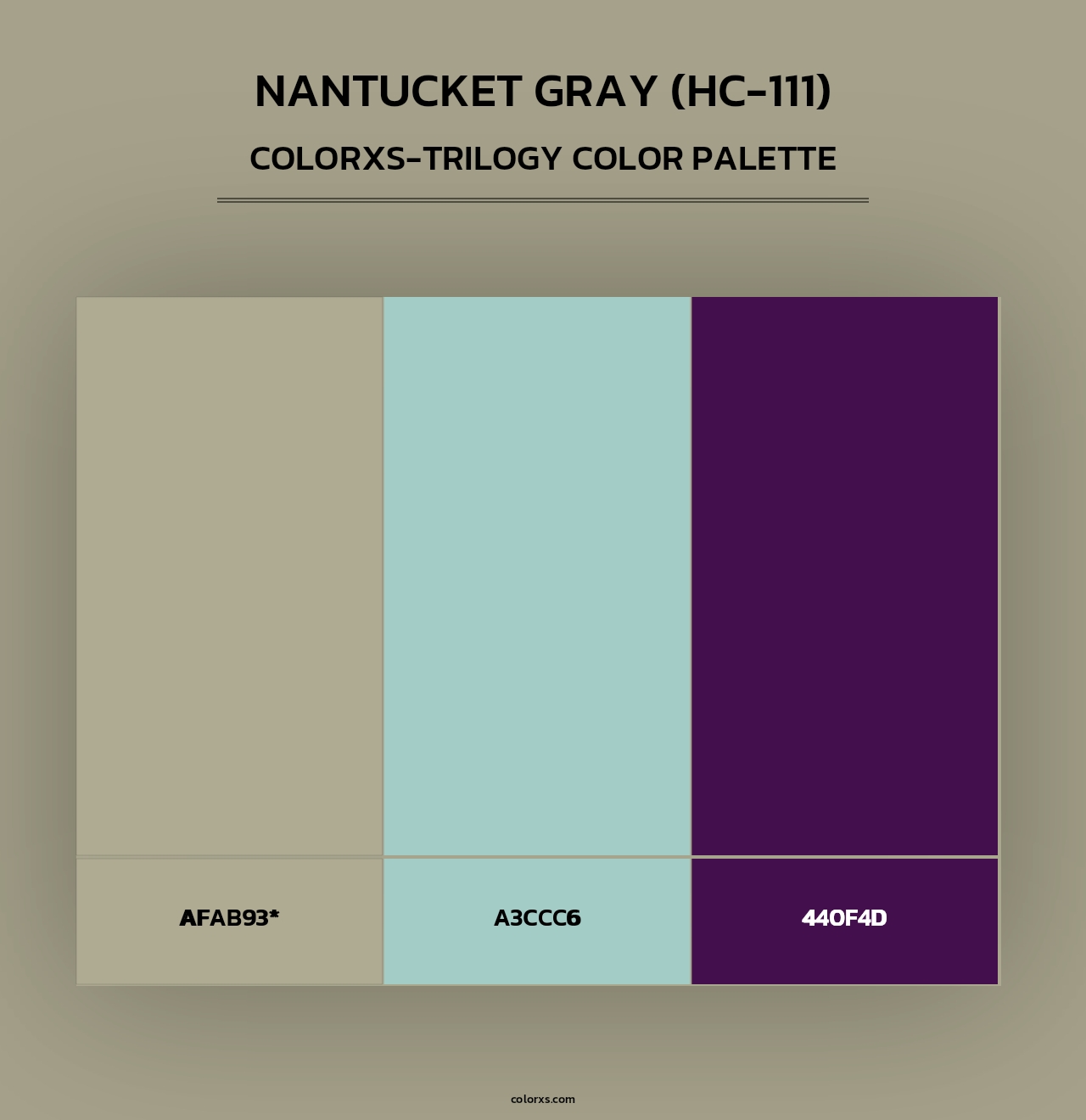 Nantucket Gray (HC-111) - Colorxs Trilogy Palette