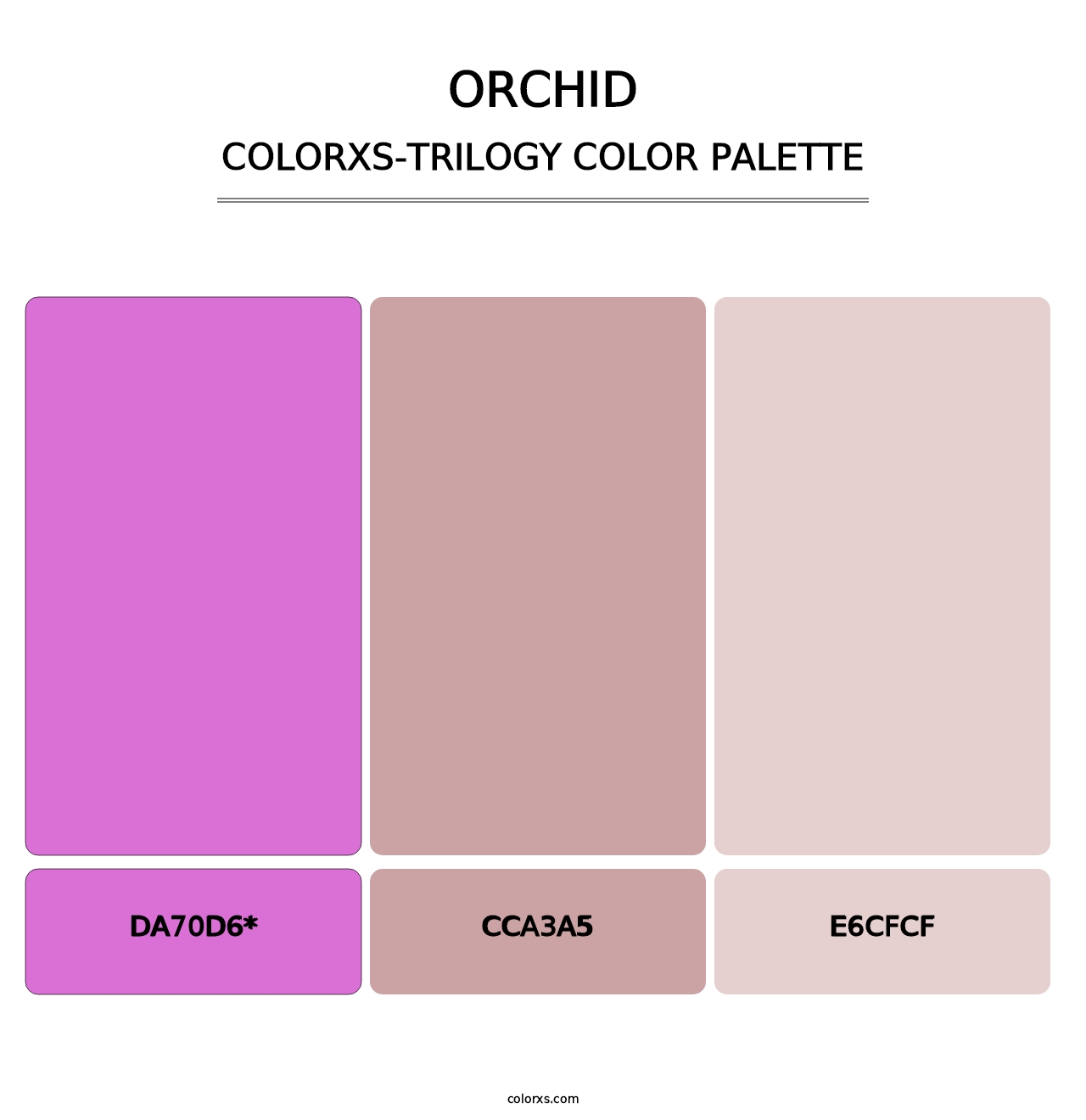 Orchid - Colorxs Trilogy Palette