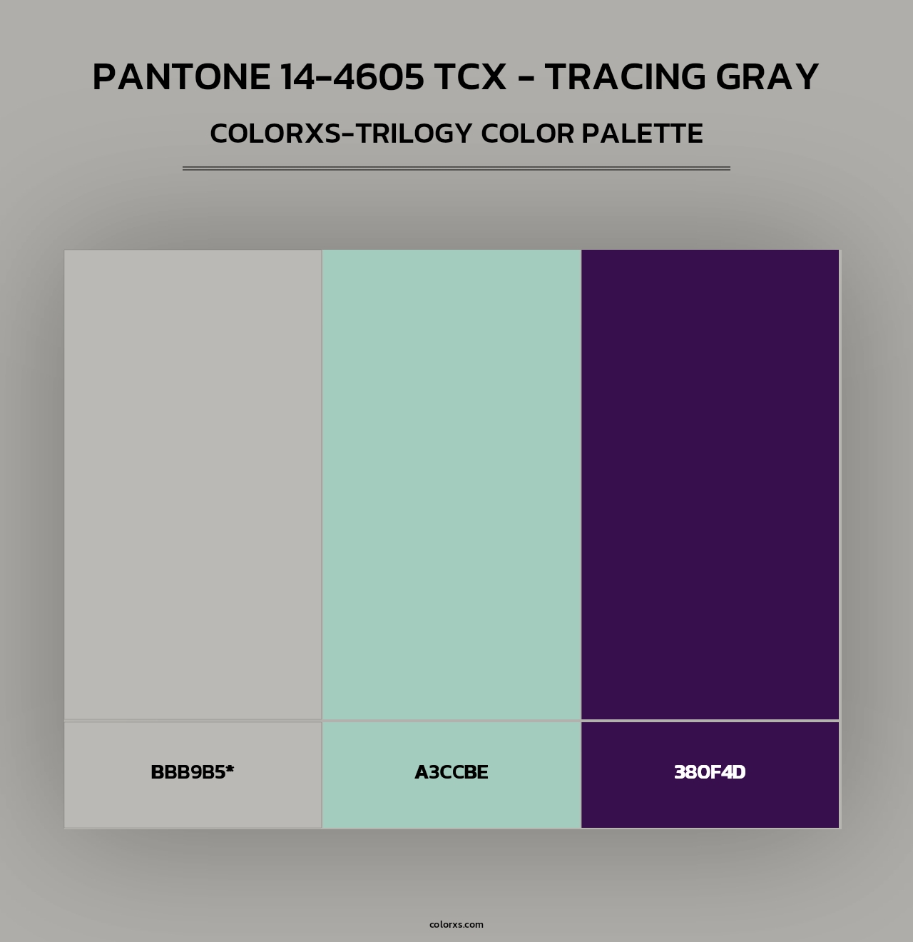 PANTONE 14-4605 TCX - Tracing Gray - Colorxs Trilogy Palette