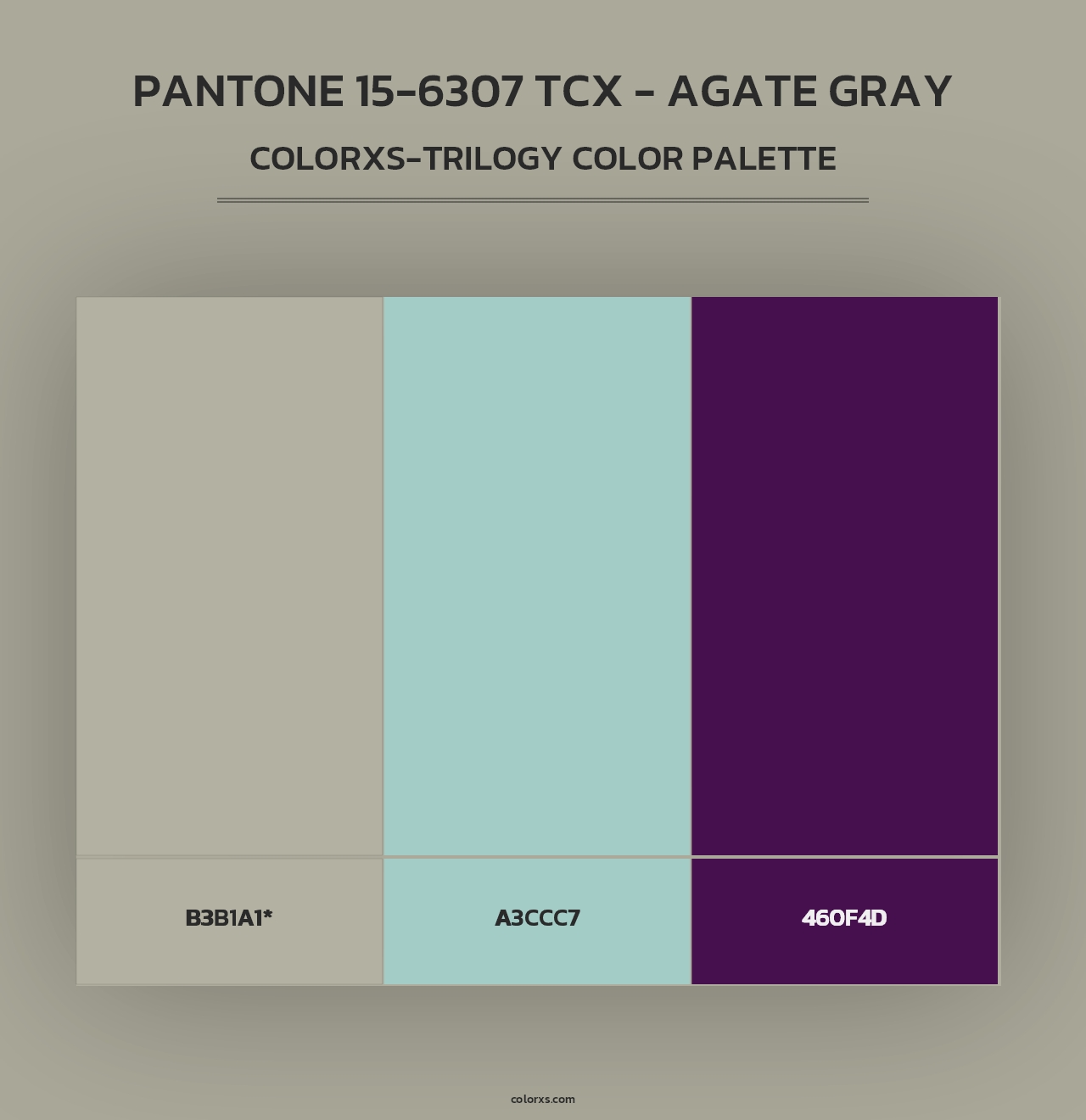 PANTONE 15-6307 TCX - Agate Gray - Colorxs Trilogy Palette
