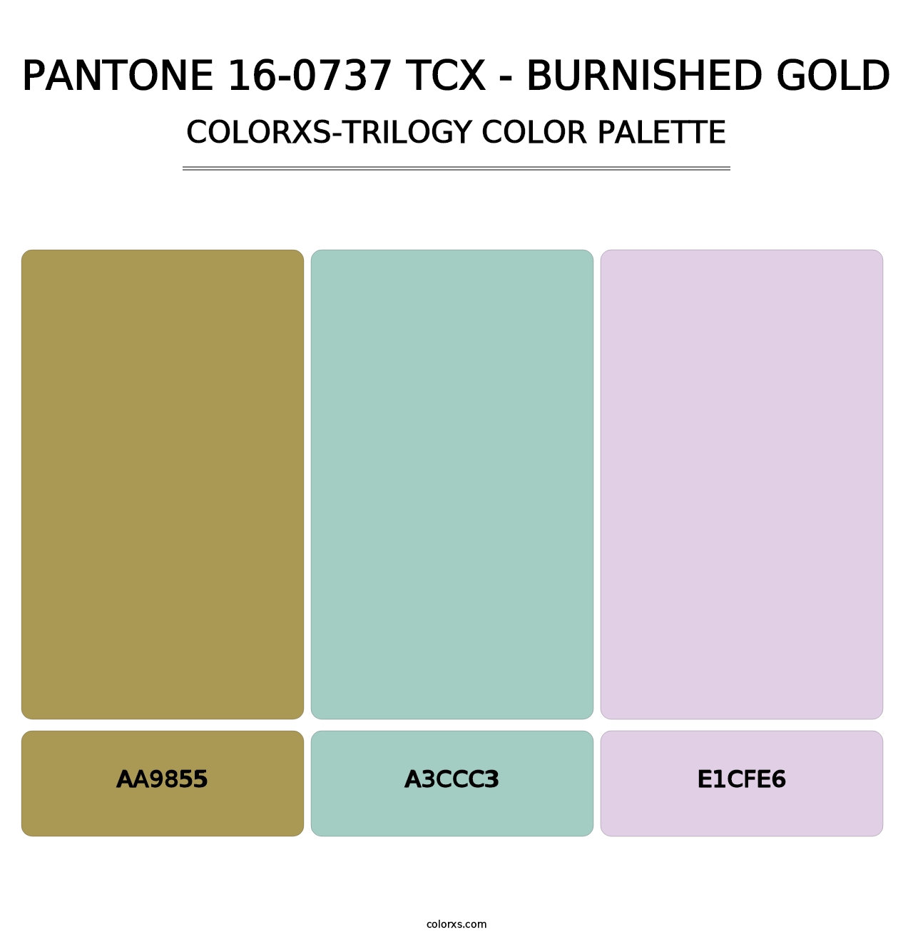 PANTONE 16-0737 TCX - Burnished Gold - Colorxs Trilogy Palette