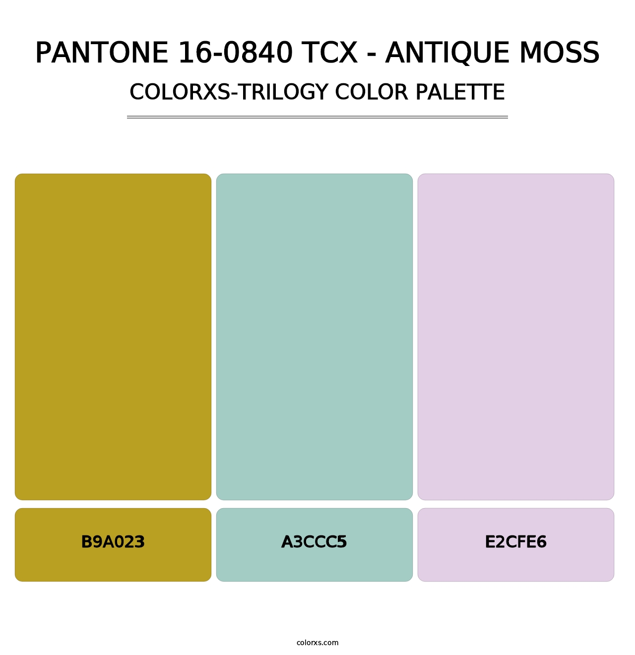 PANTONE 16-0840 TCX - Antique Moss - Colorxs Trilogy Palette