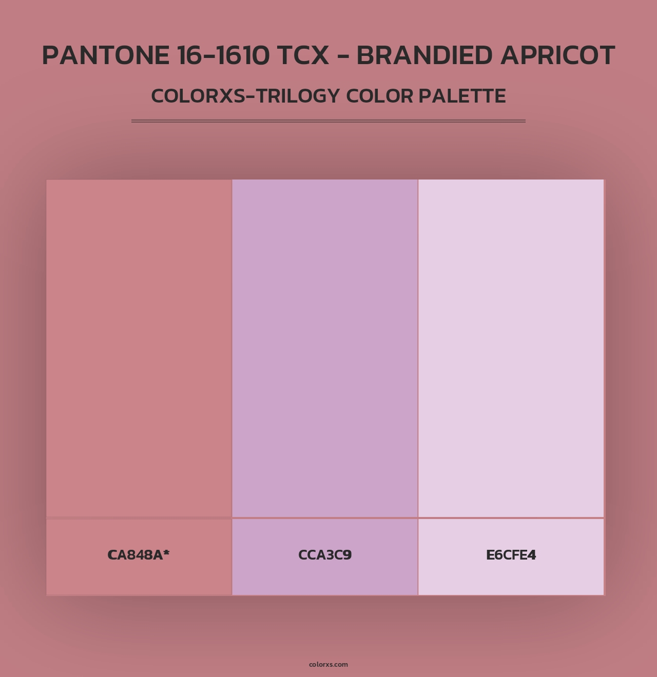 PANTONE 16-1610 TCX - Brandied Apricot - Colorxs Trilogy Palette