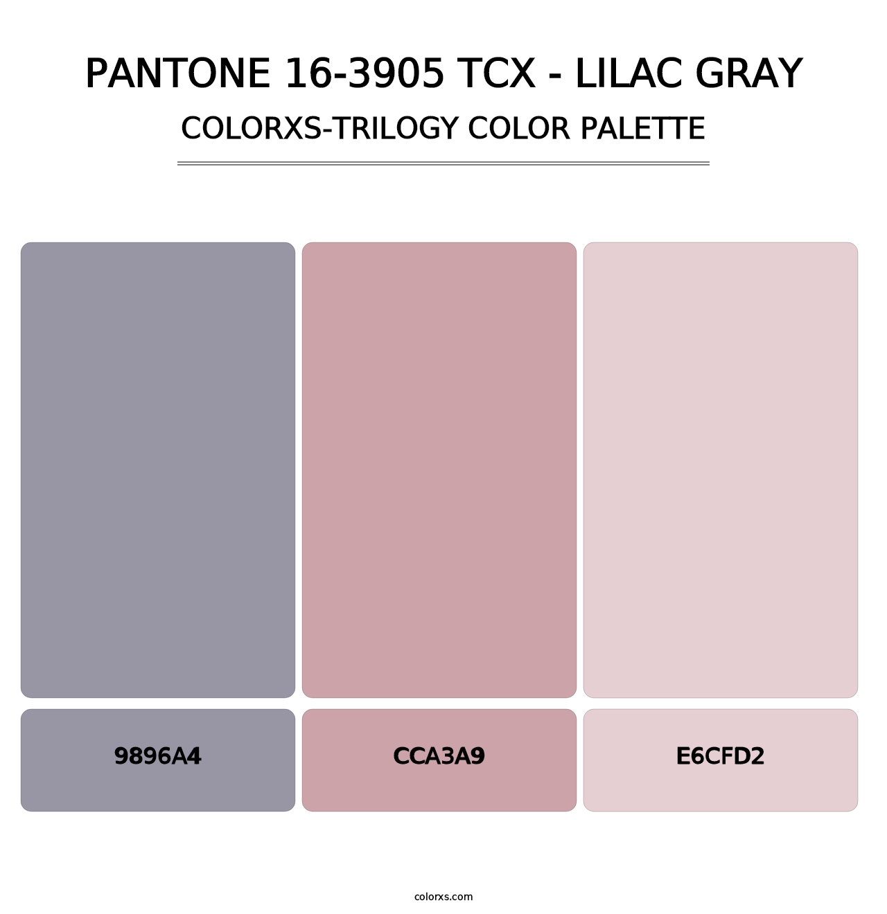 PANTONE 16-3905 TCX - Lilac Gray - Colorxs Trilogy Palette