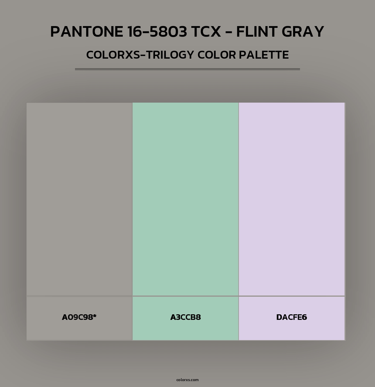 PANTONE 16-5803 TCX - Flint Gray - Colorxs Trilogy Palette